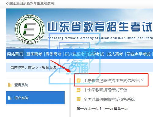 山東高考志愿填報輔助系統使用指南 輕松上手，精準擇校
